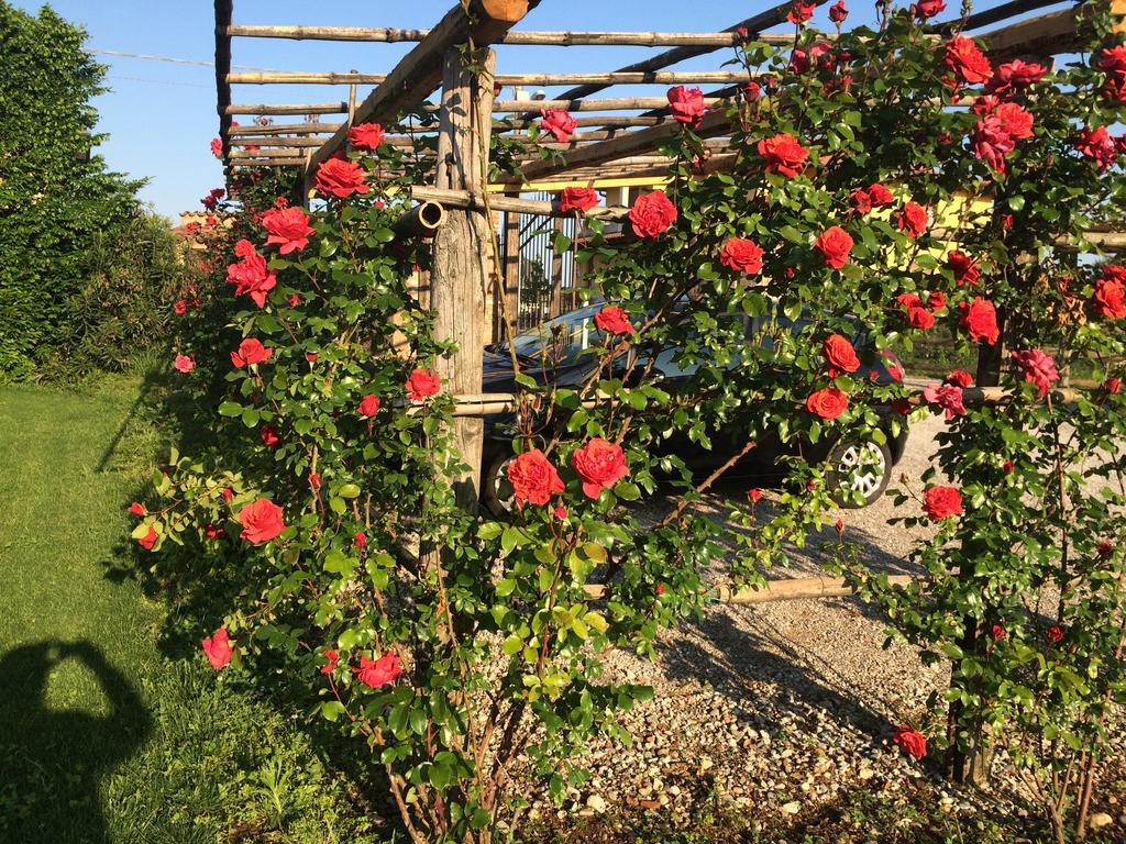 Corte Breda, Agriturismo Bed&Breakfast Кьяри Экстерьер фото